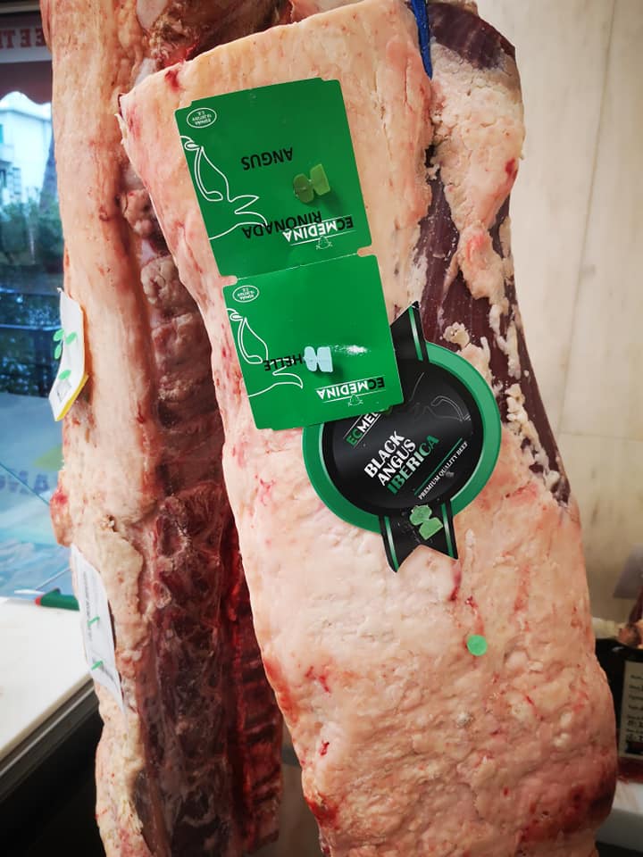 Black Angus Iberica